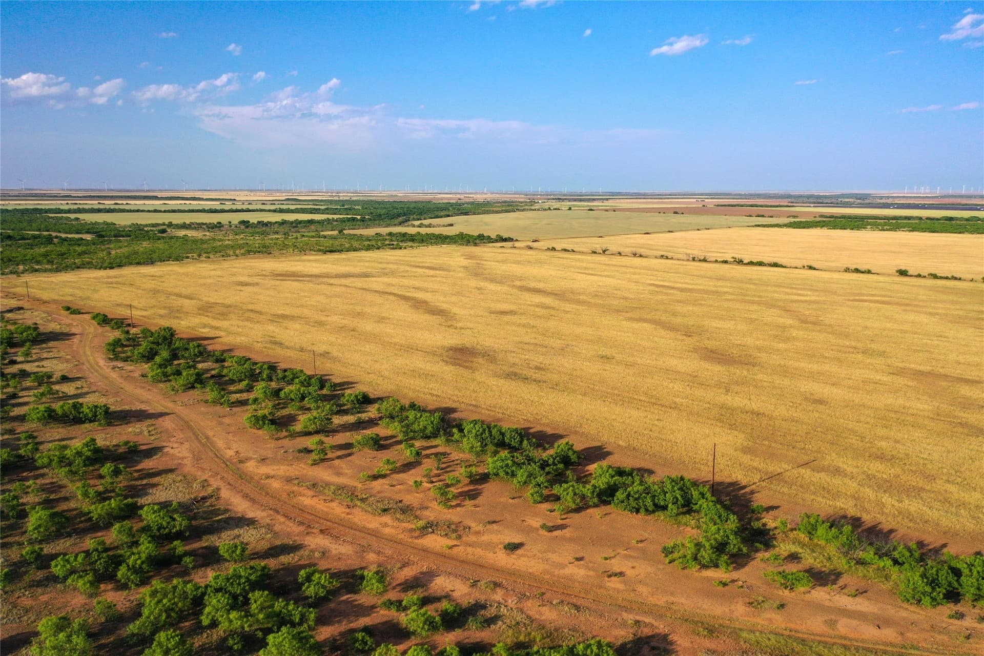 2,779.98 acres in Haskell County - photo 16