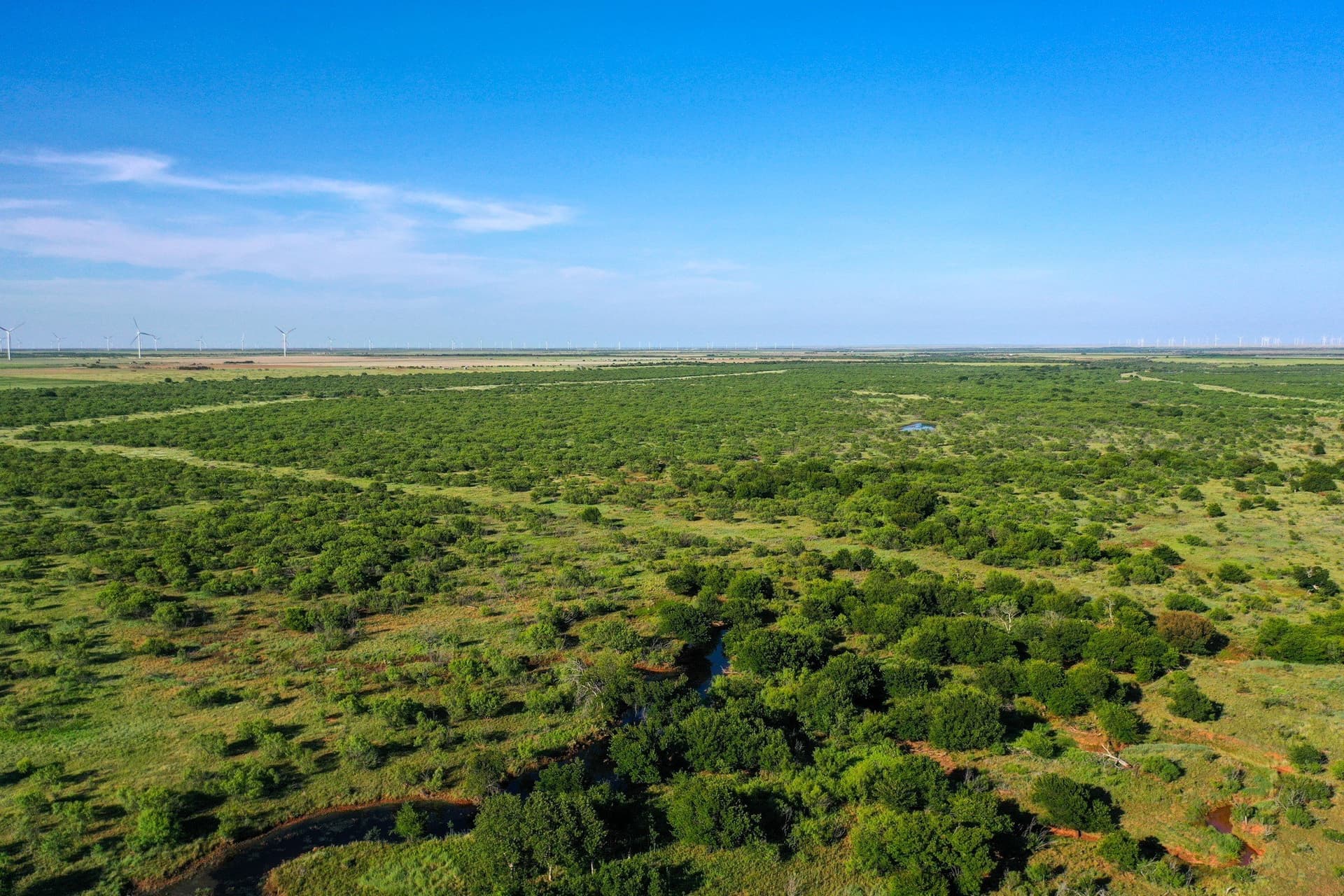 2,779.98 acres in Haskell County - photo 29