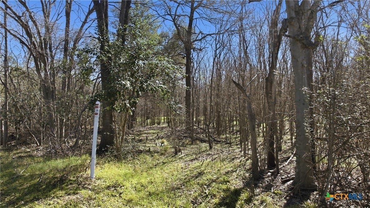 1.17 acres in Milam County gallery image 4