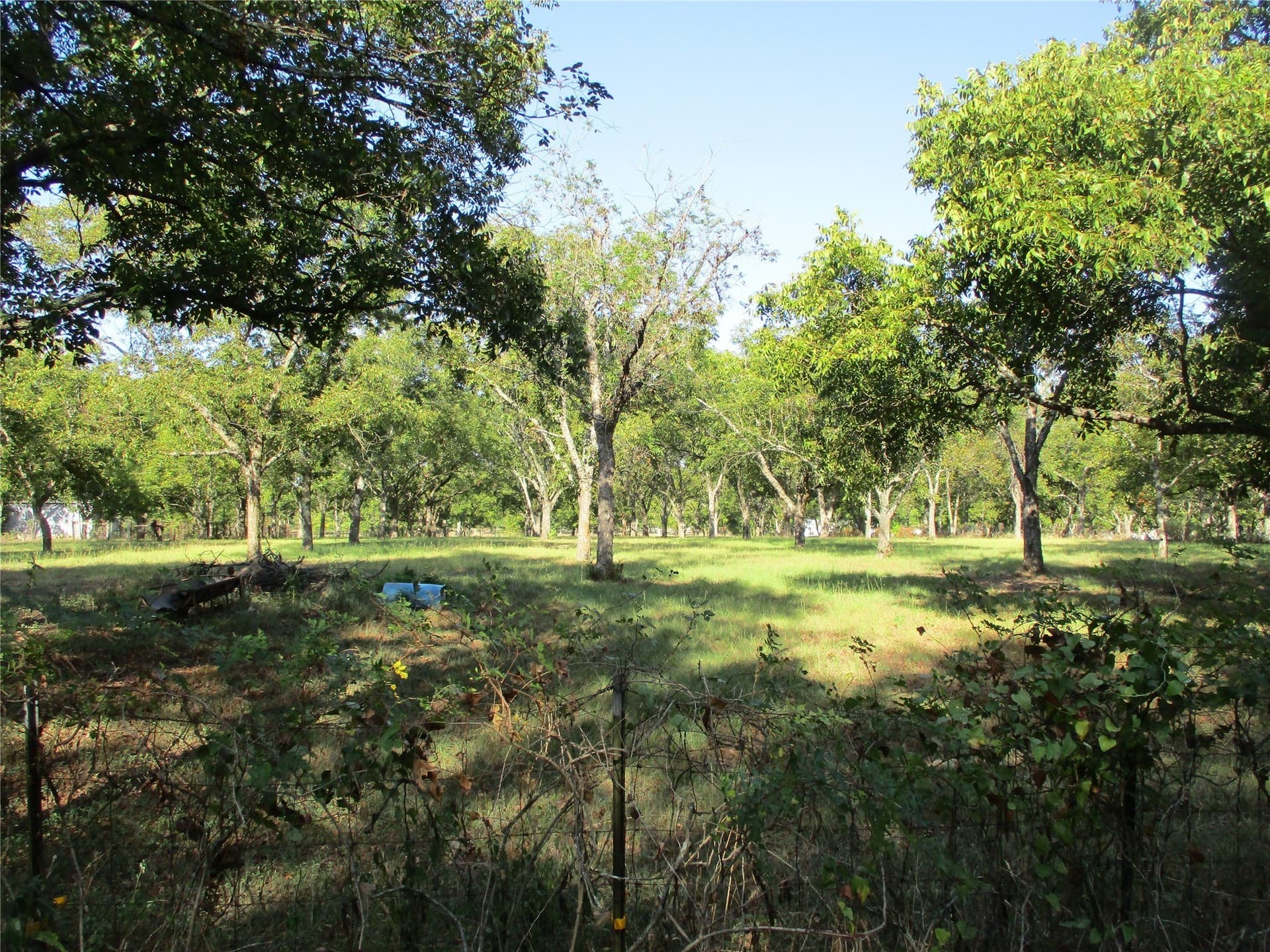 2 acres in Rains County - photo 4