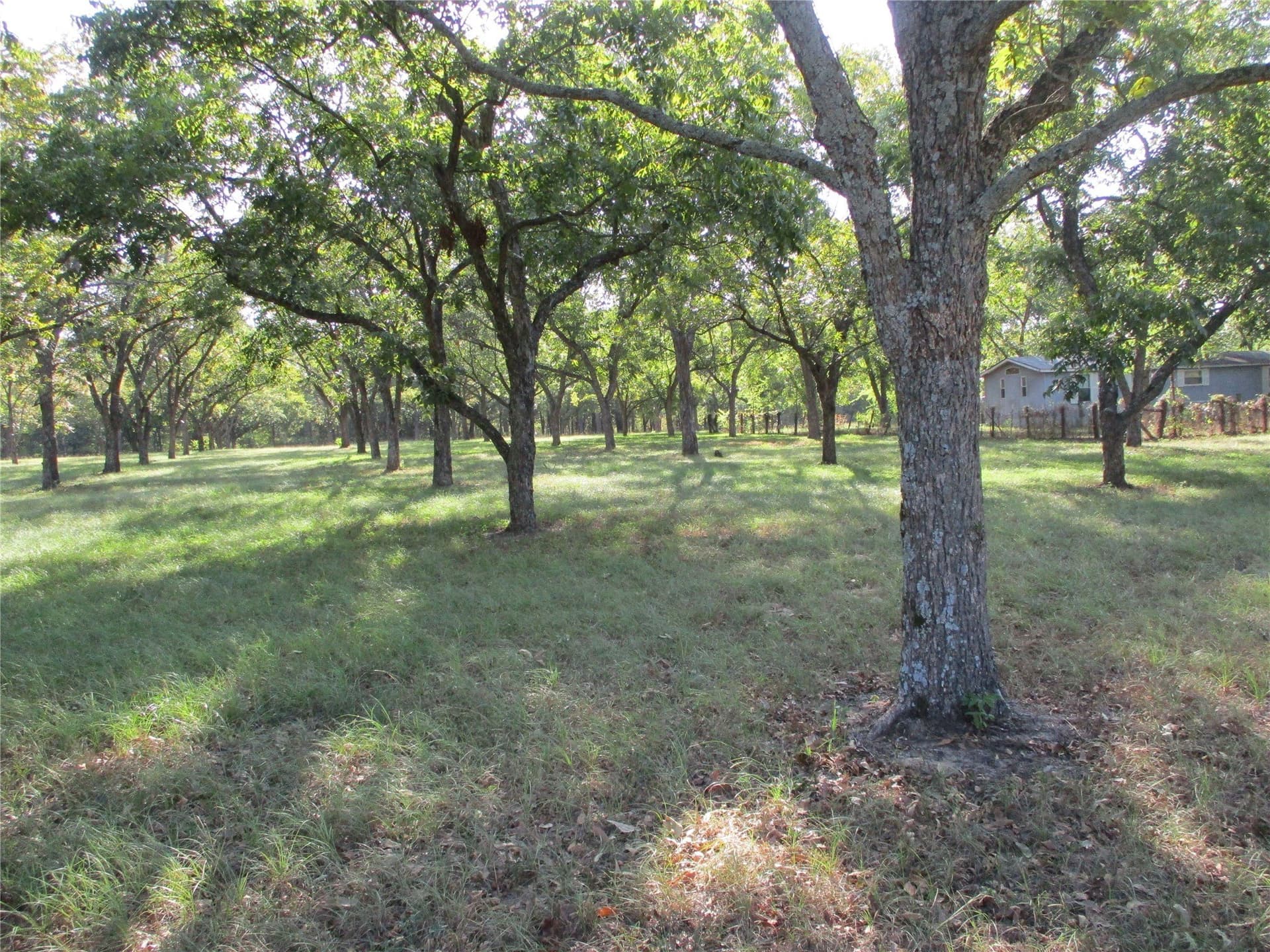 2 acres in Rains County - photo 2