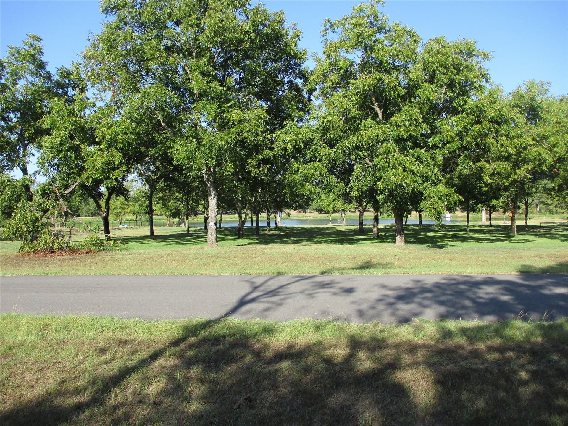 2 acres in Rains County - photo 3