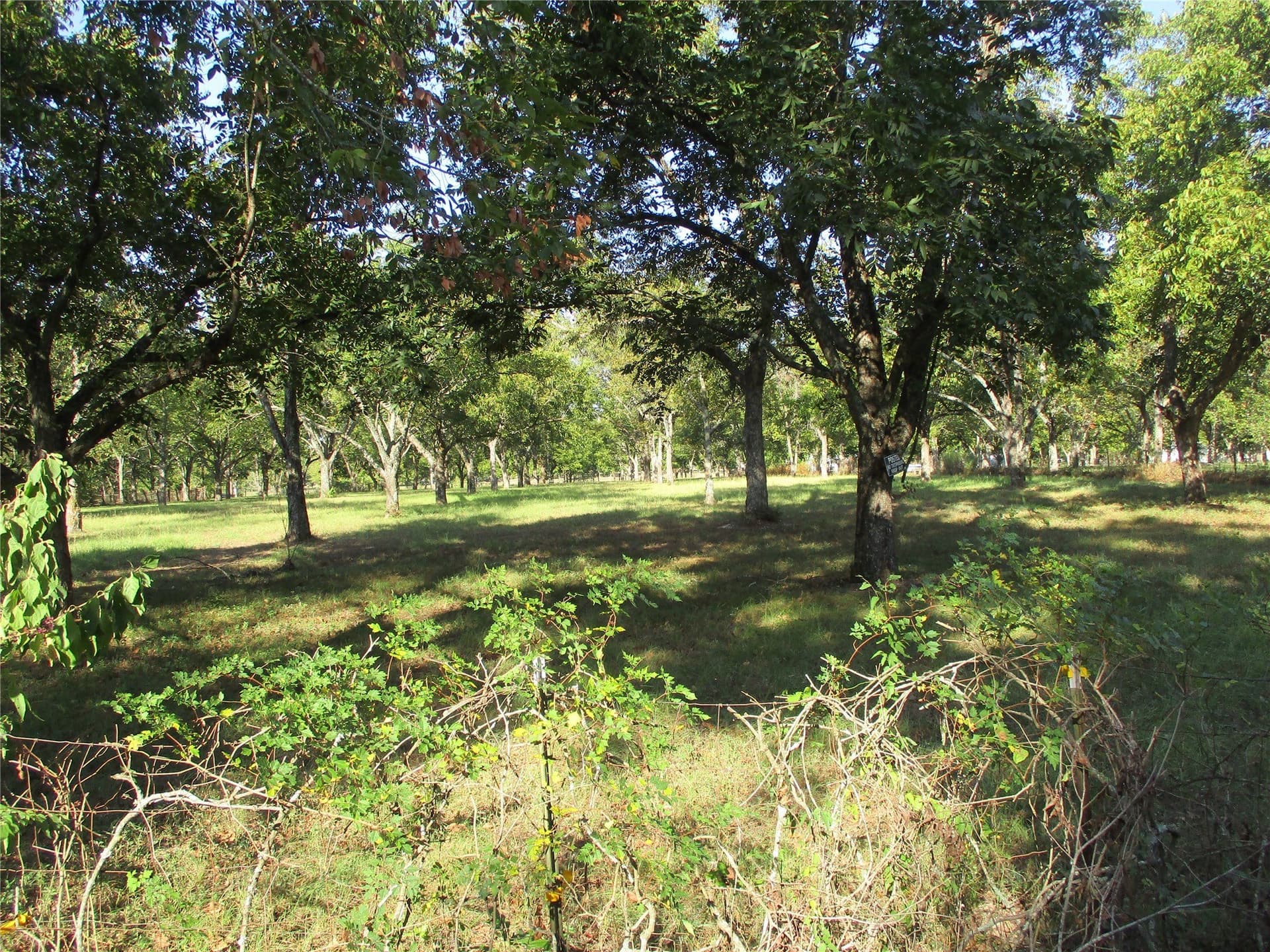 2 acres in Rains County - photo 5