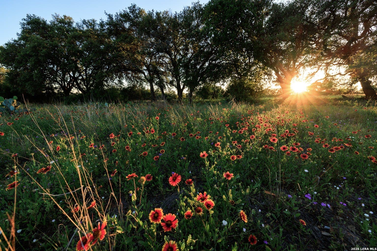 5.04 acres in Blanco County - photo 19