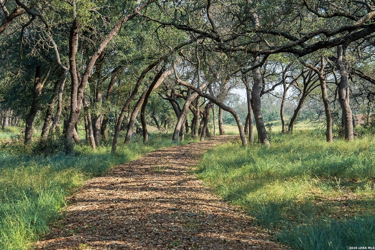 5.04 acres in Blanco County - photo 16