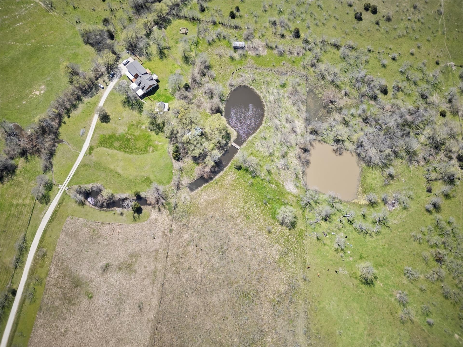 9.8 acres in Rockwall County - photo 14