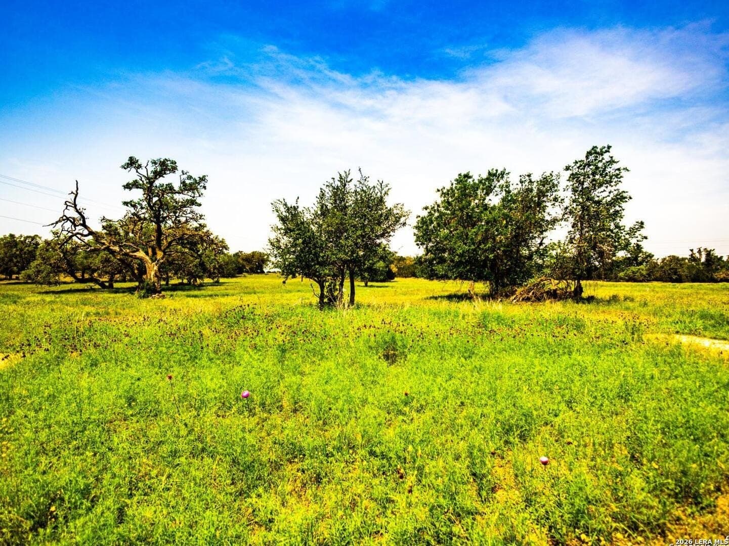 0.22 acres in Bandera County - photo 2
