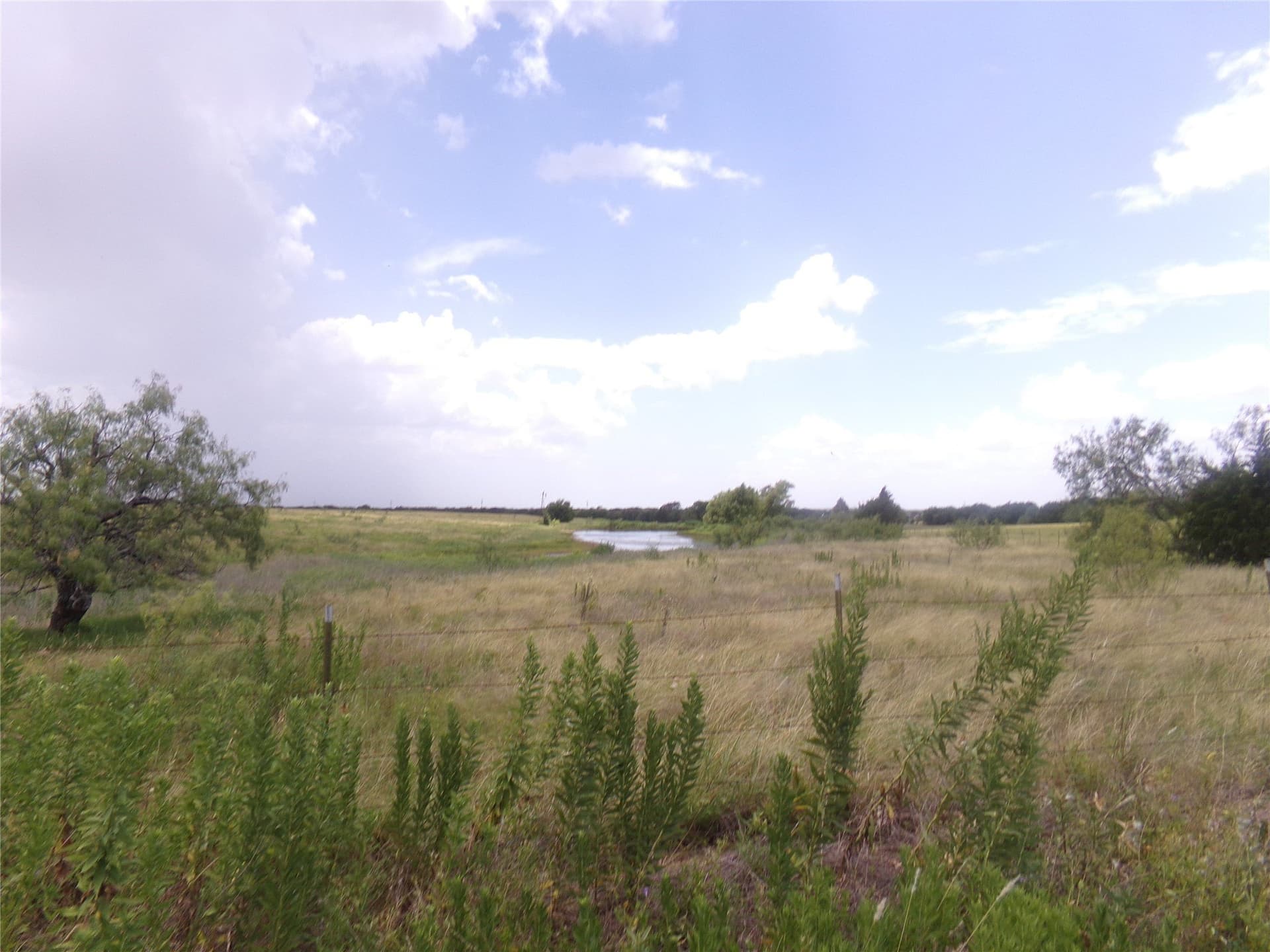 5.42 acres in Navarro County - photo 8
