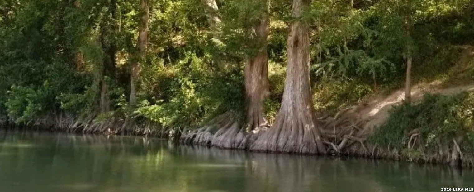 0.6 acres in Comal County gallery image 2