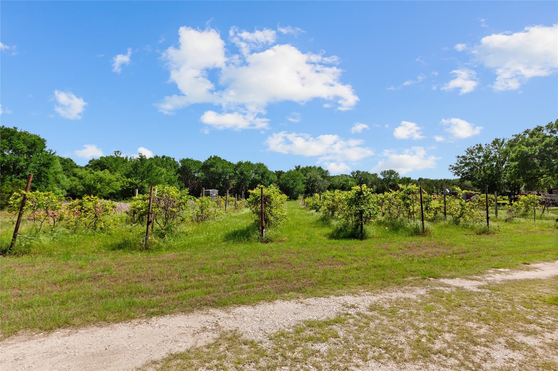 10 acres in Bosque County - photo 6