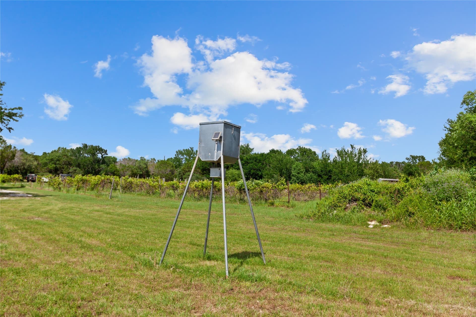 10 acres in Bosque County - photo 26