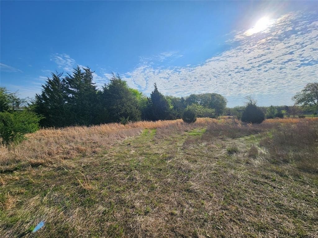 2.08 acres in Hopkins County gallery image 3