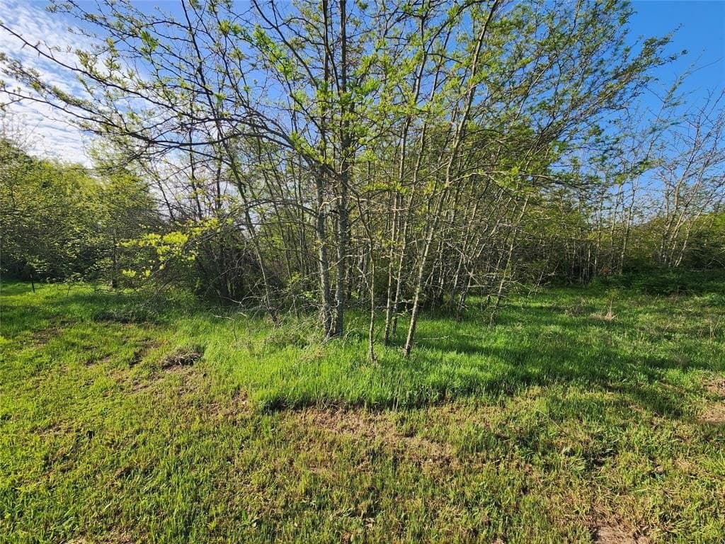 2.08 acres in Hopkins County gallery image 4