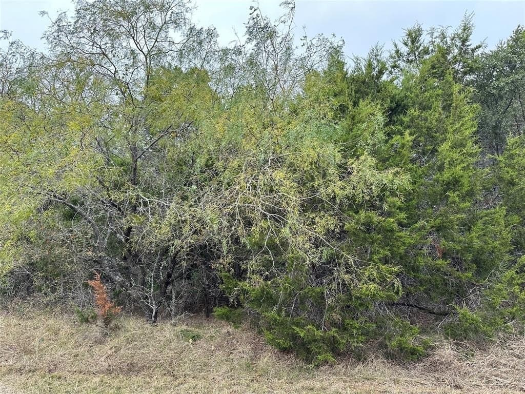0.59 acres in Hill County