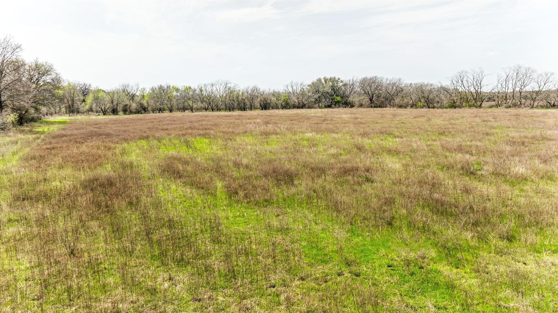 10 acres in Hamilton County - photo 4