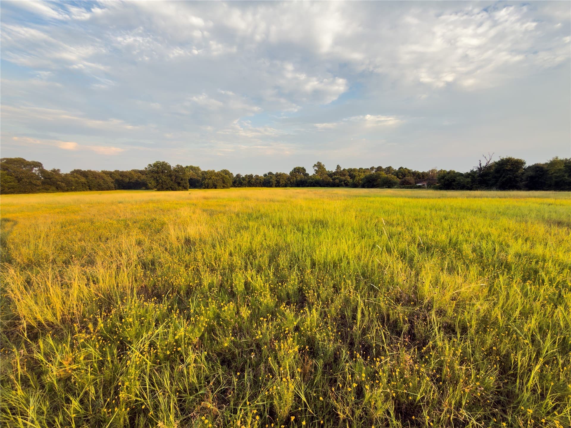 0.26 acres in McLennan County - photo 7