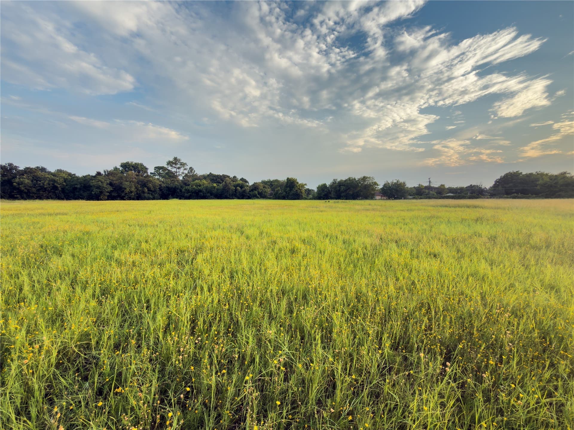 0.26 acres in McLennan County - photo 6