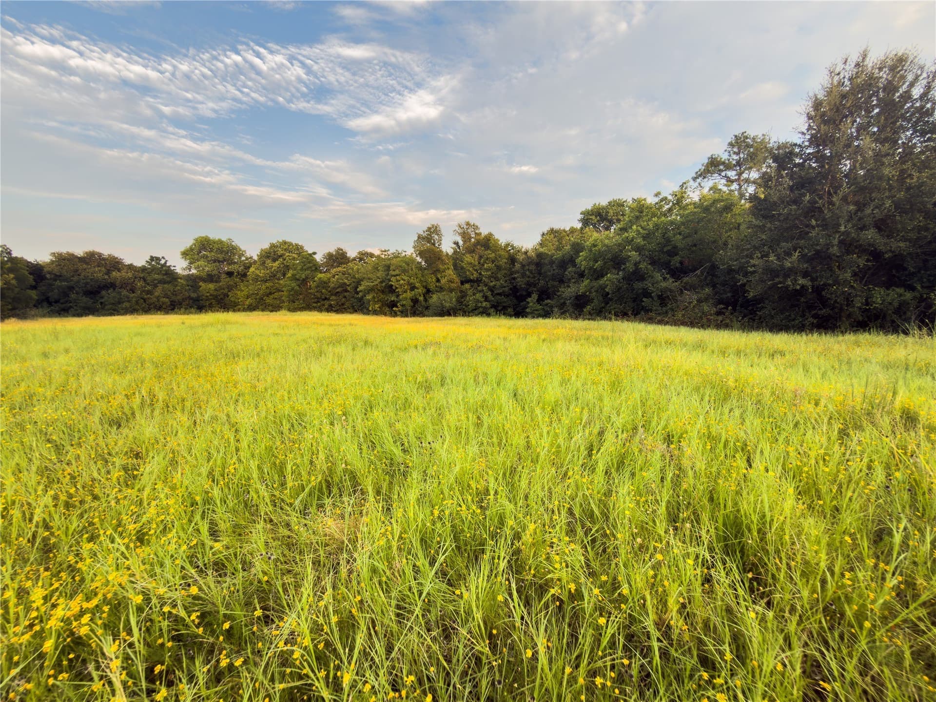 0.26 acres in McLennan County - photo 3