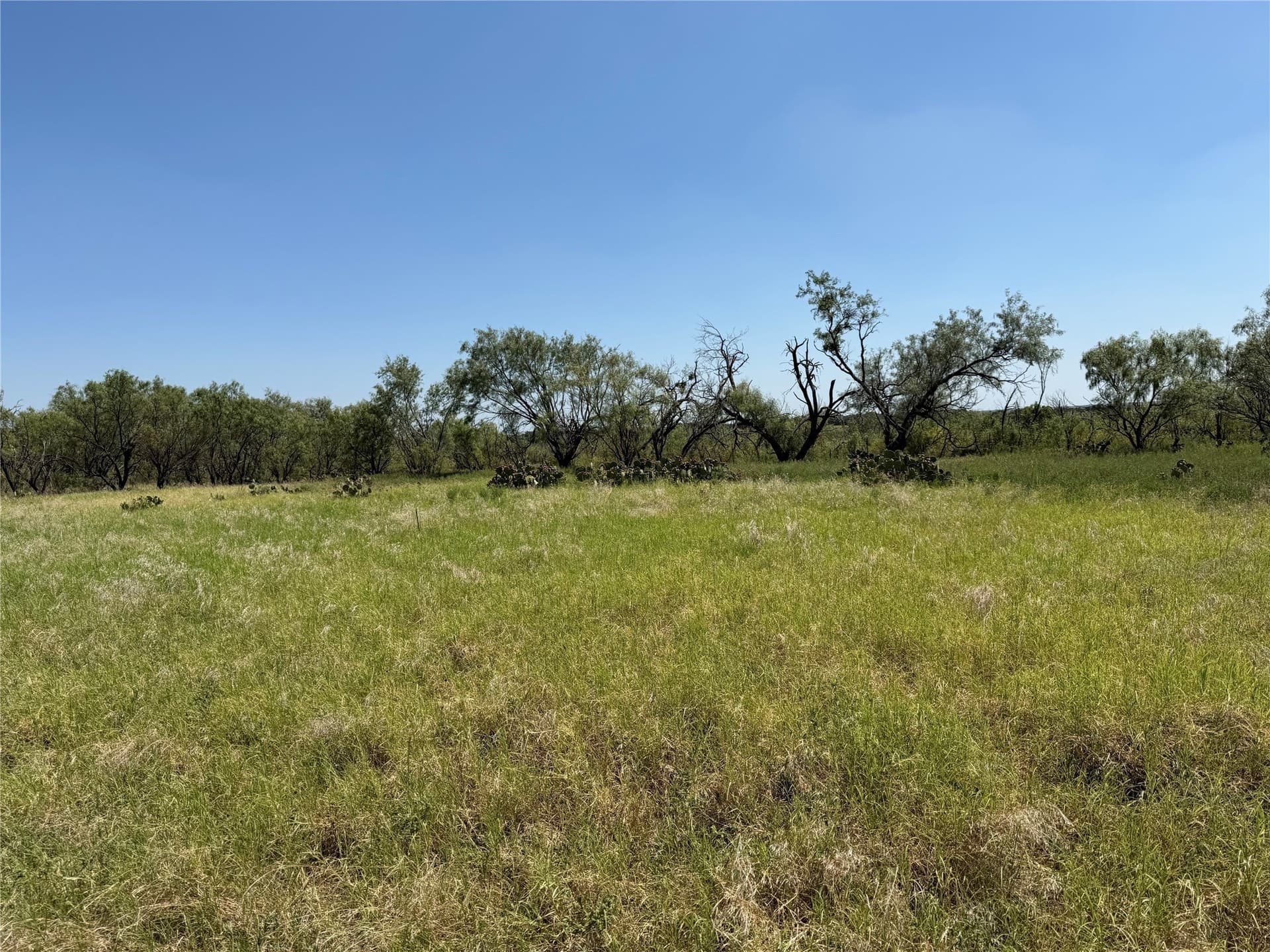 18.75 acres in Eastland County - photo 26