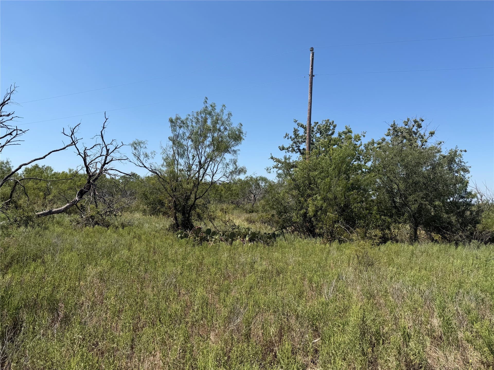 18.75 acres in Eastland County - photo 27