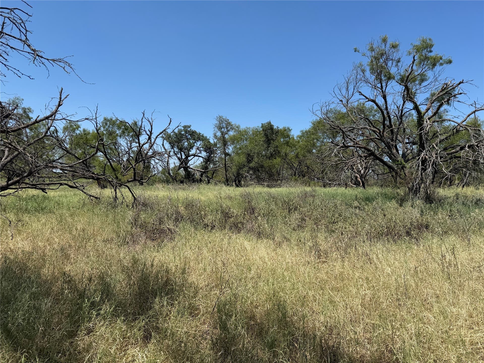 18.75 acres in Eastland County - photo 9