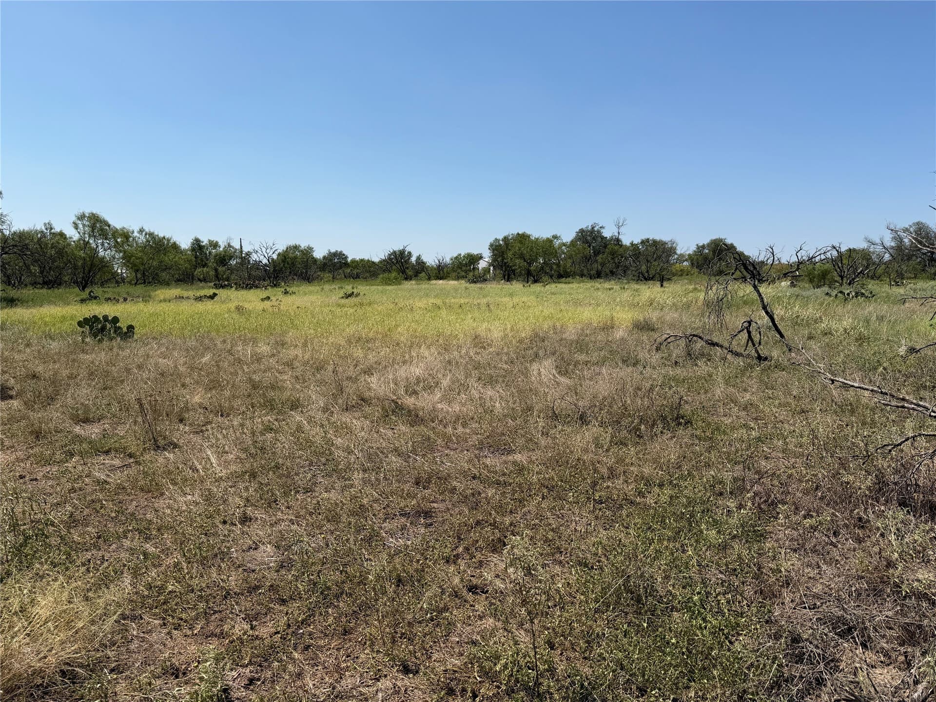 18.75 acres in Eastland County - photo 24