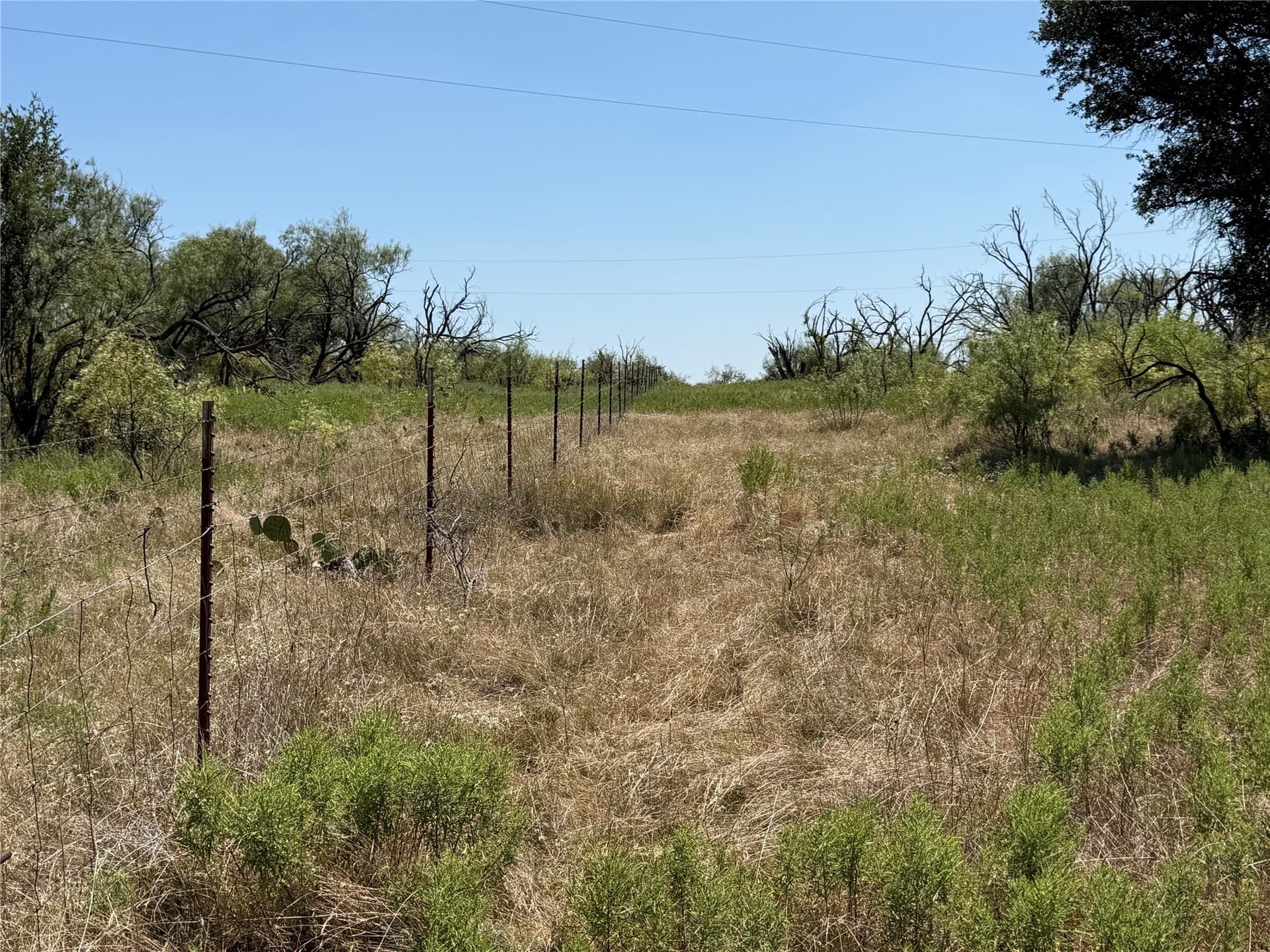 18.75 acres in Eastland County - photo 5