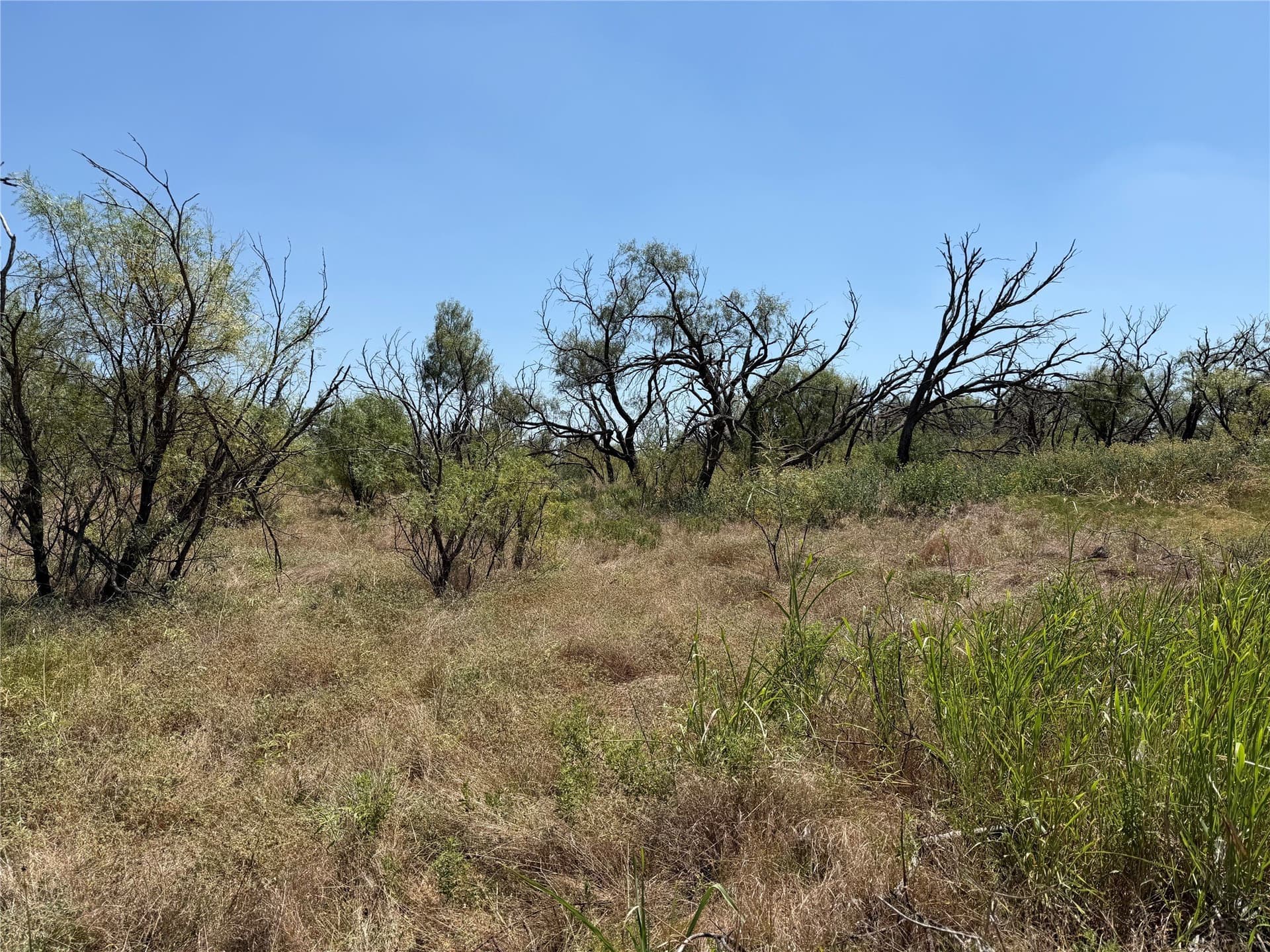 18.75 acres in Eastland County - photo 14