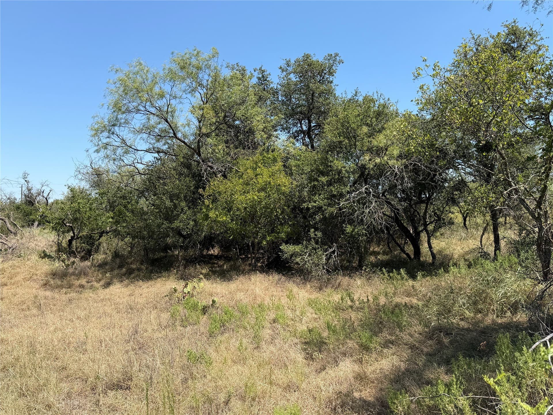 18.75 acres in Eastland County - photo 16