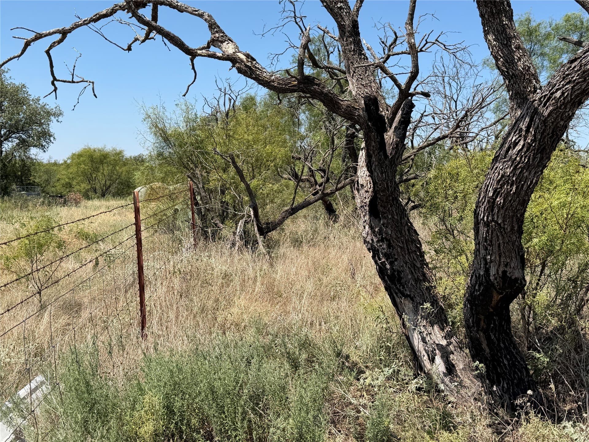 18.75 acres in Eastland County - photo 19