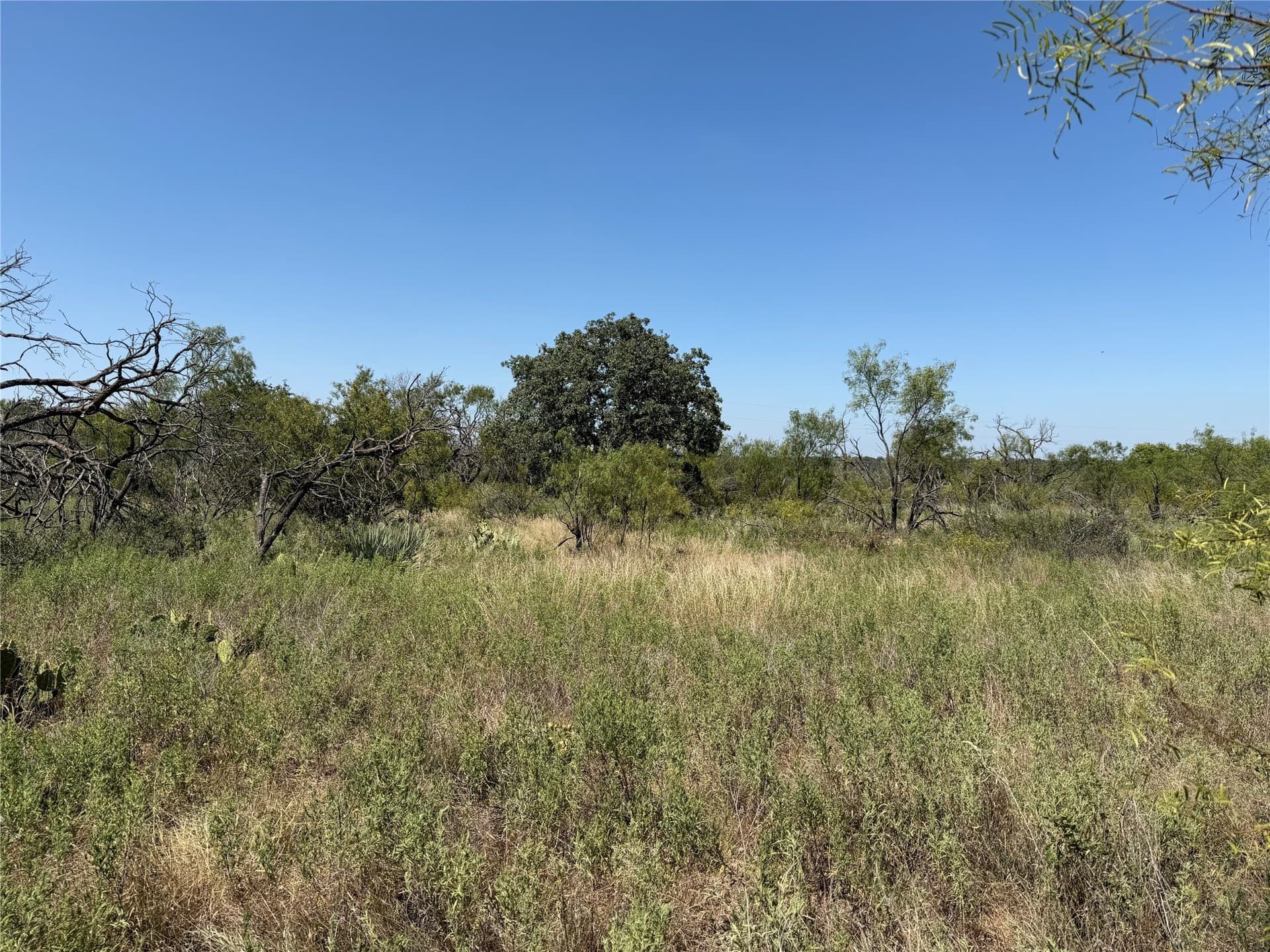 18.75 acres in Eastland County - photo 30