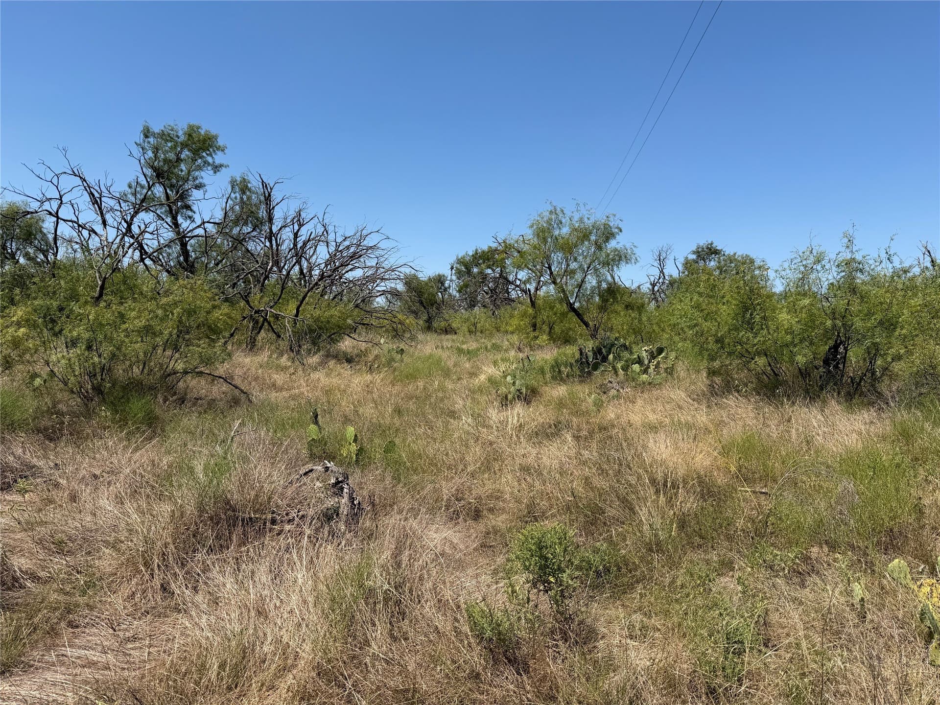 18.75 acres in Eastland County - photo 8