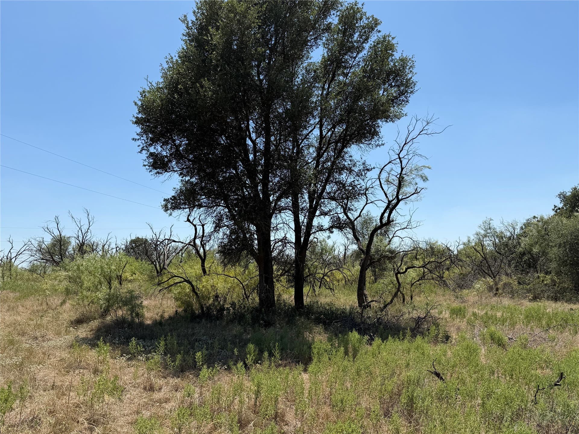 18.75 acres in Eastland County - photo 17