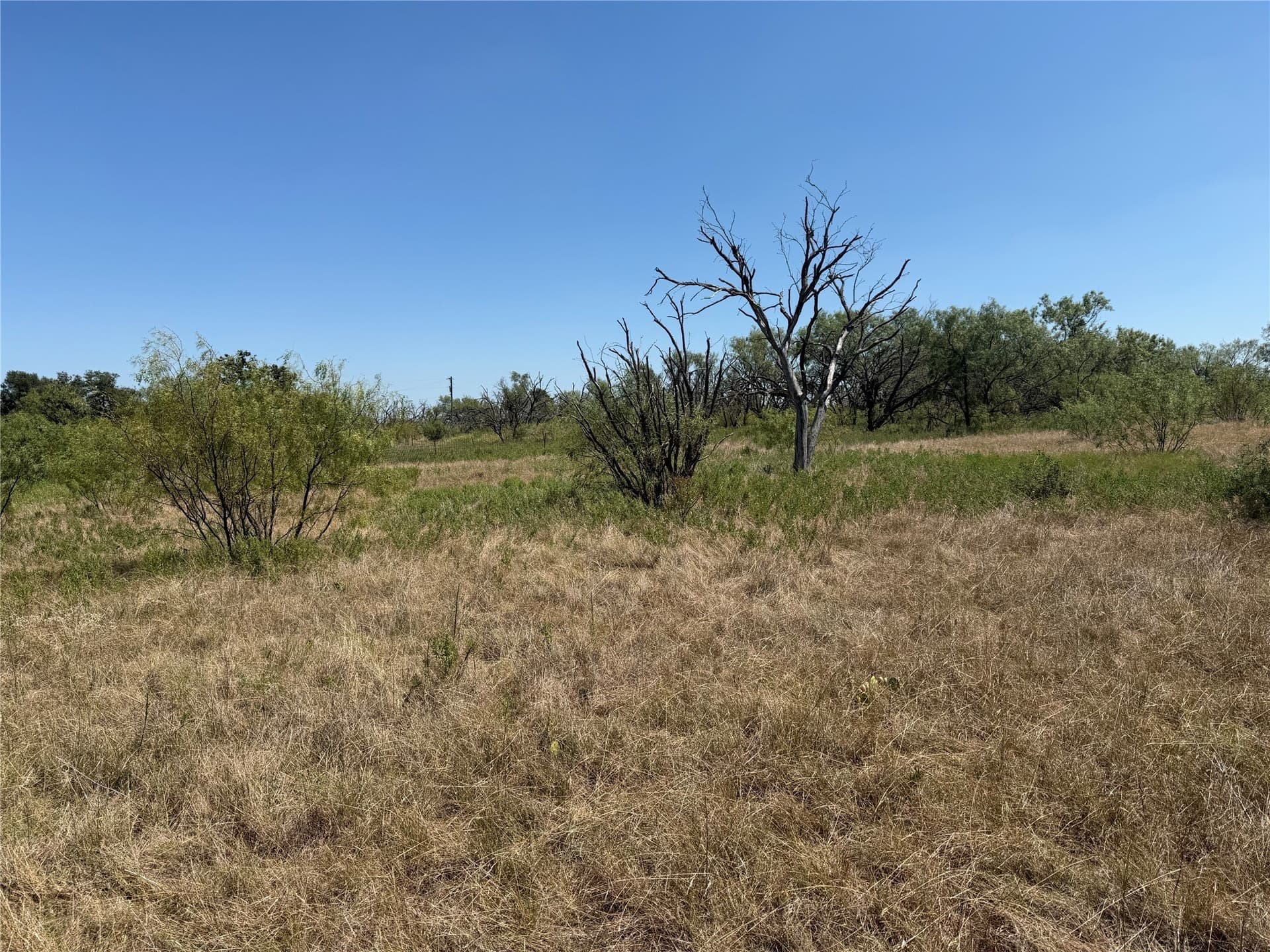 18.75 acres in Eastland County - photo 32