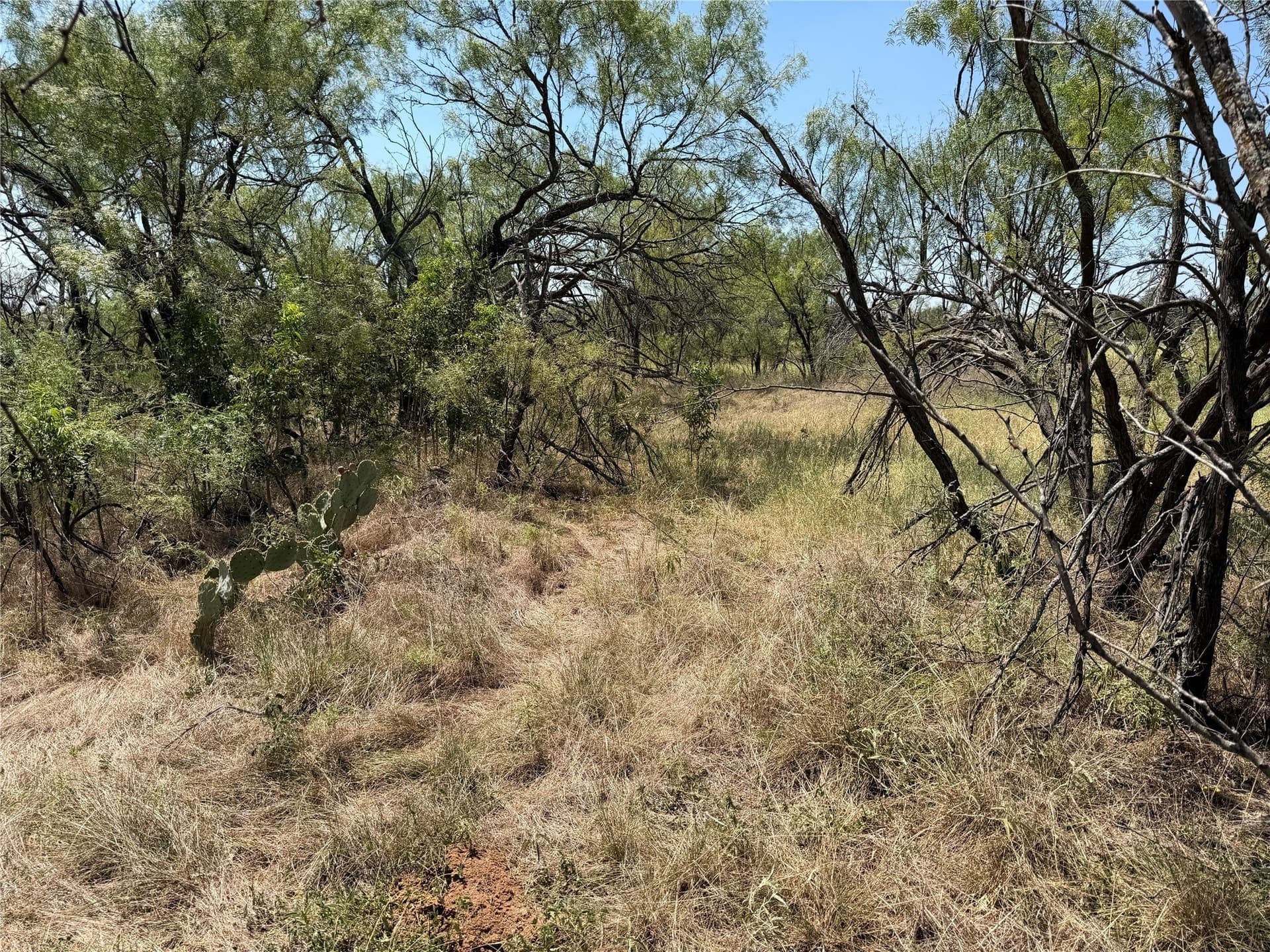 18.75 acres in Eastland County - photo 29