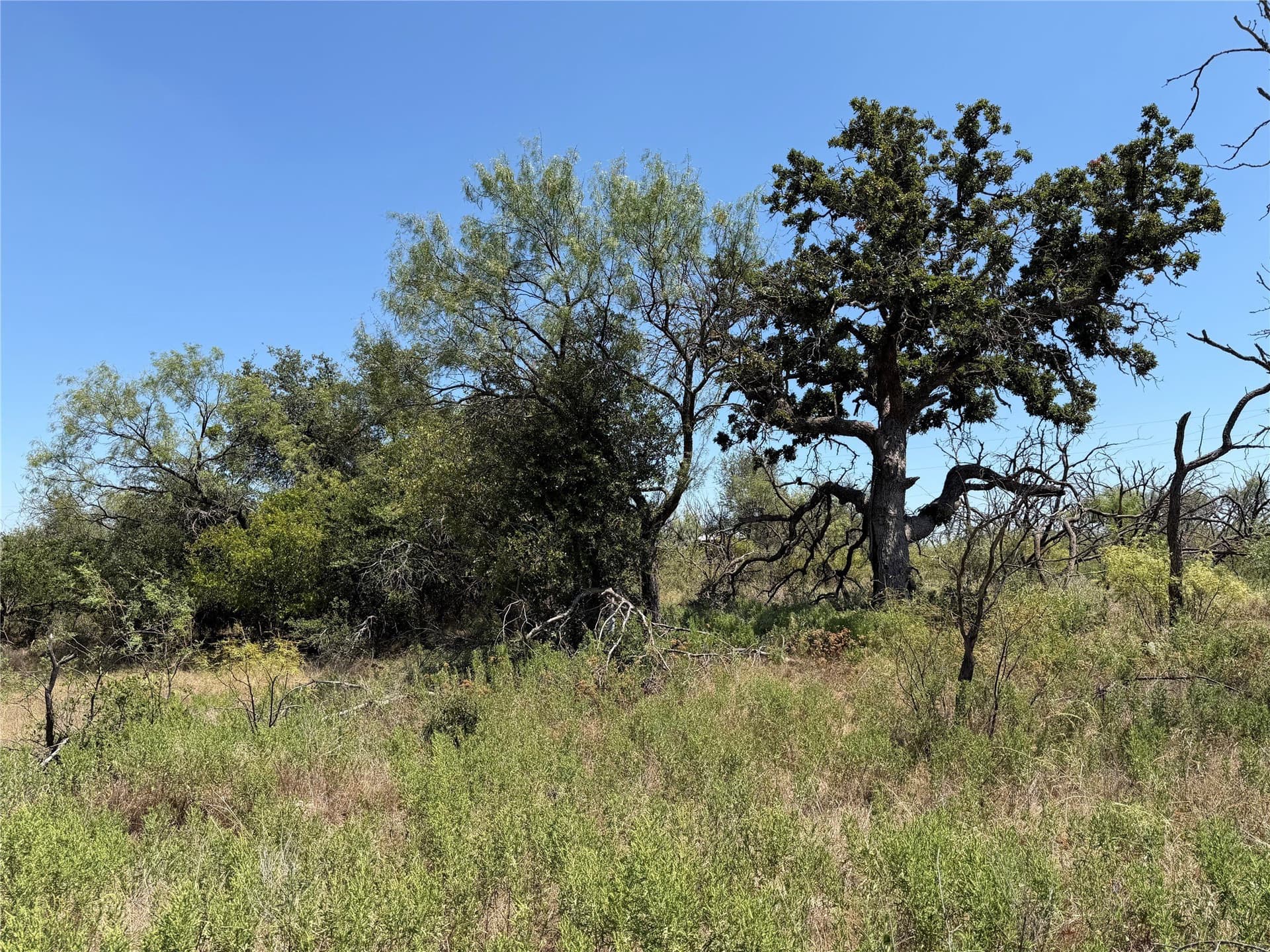 18.75 acres in Eastland County - photo 15