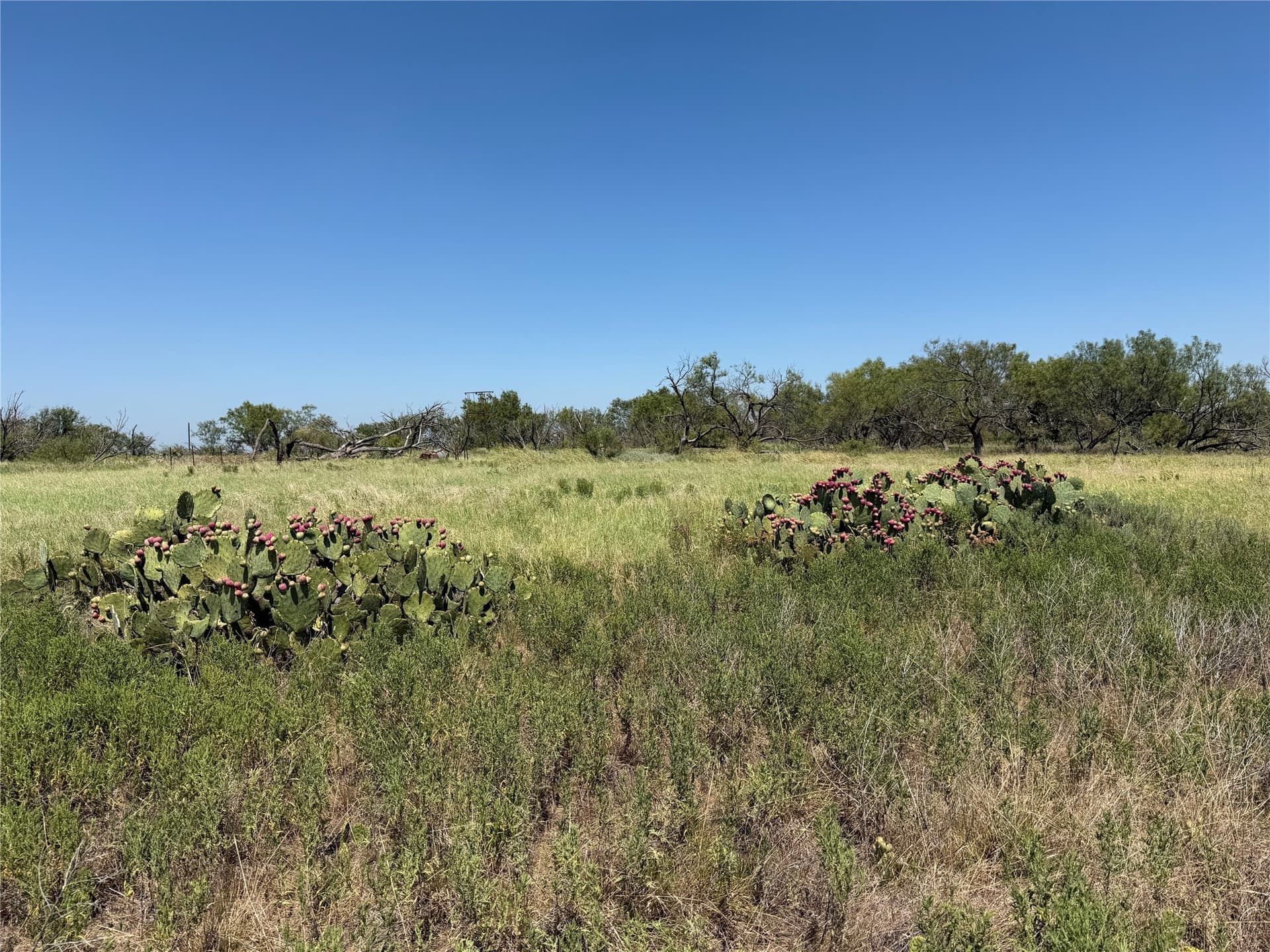 18.75 acres in Eastland County - photo 25