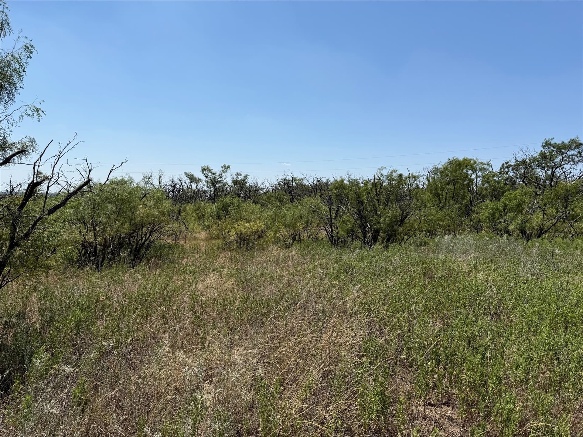 18.75 acres in Eastland County - photo 18