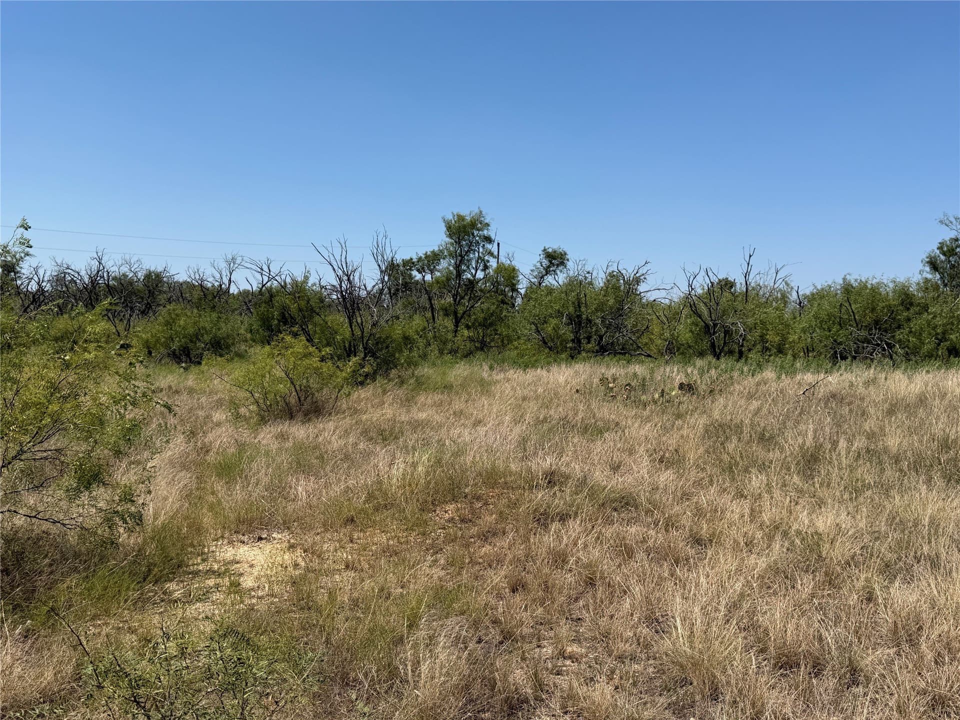 18.75 acres in Eastland County - photo 28