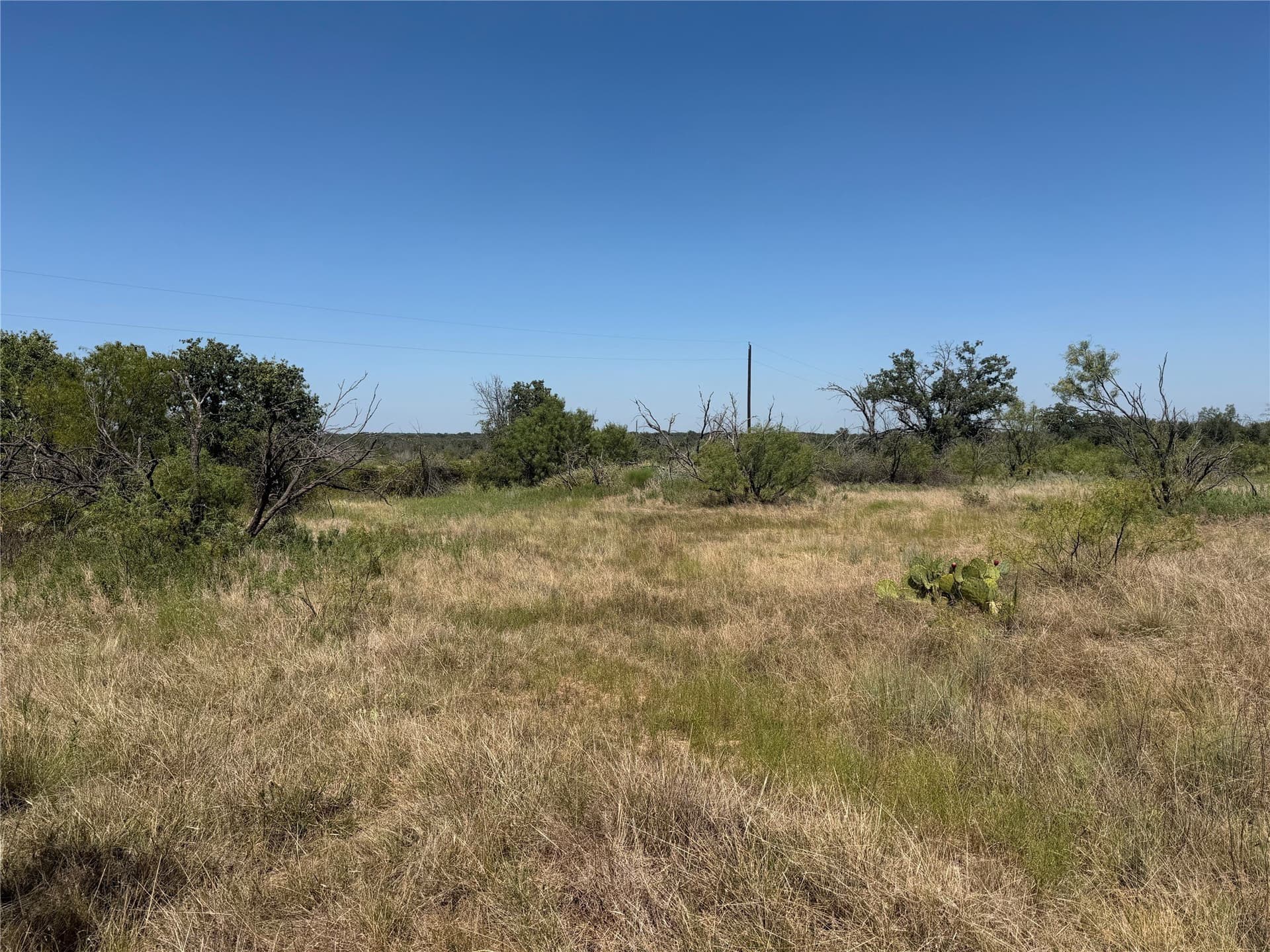 18.75 acres in Eastland County - photo 31