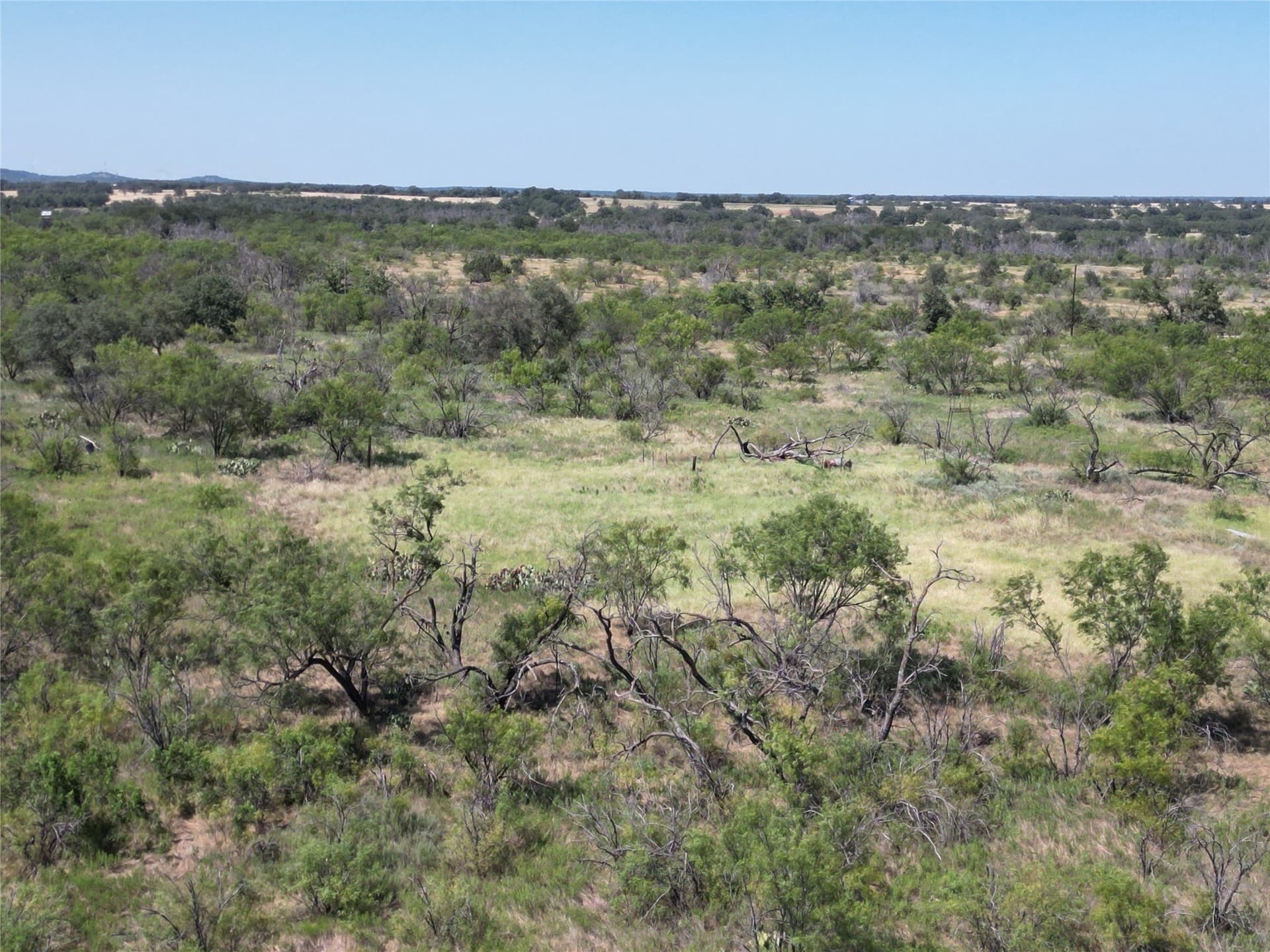 18.75 acres in Eastland County - photo 2