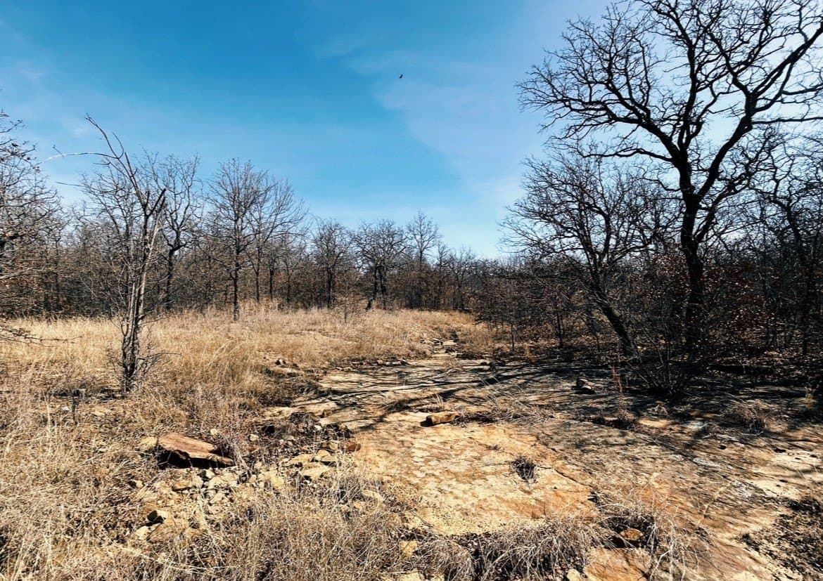 1.01 acres in Wise County featured view