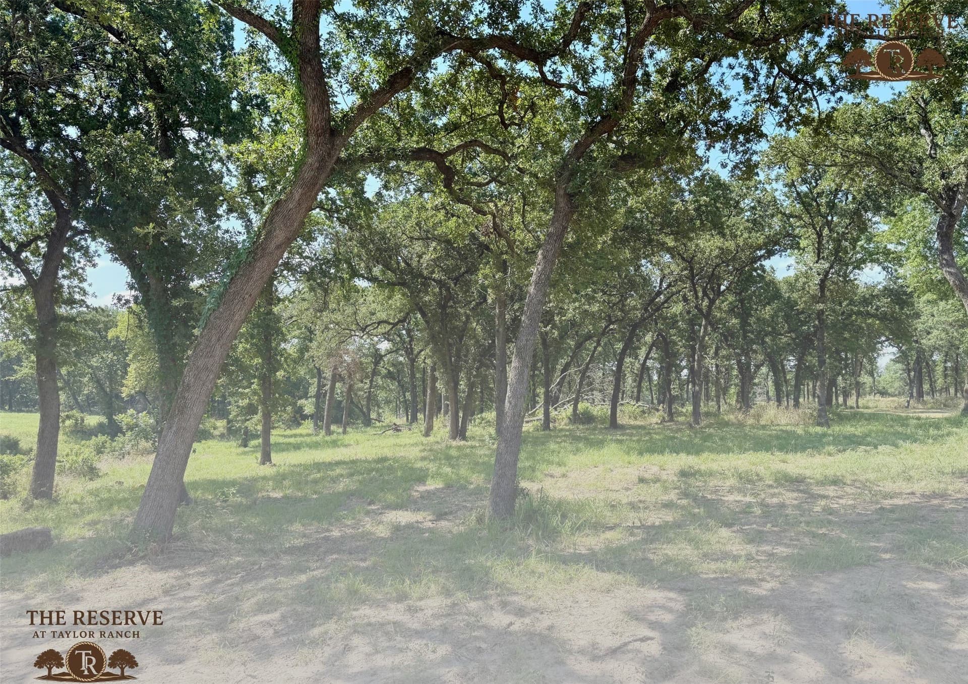 2.18 acres in Parker County gallery image 4