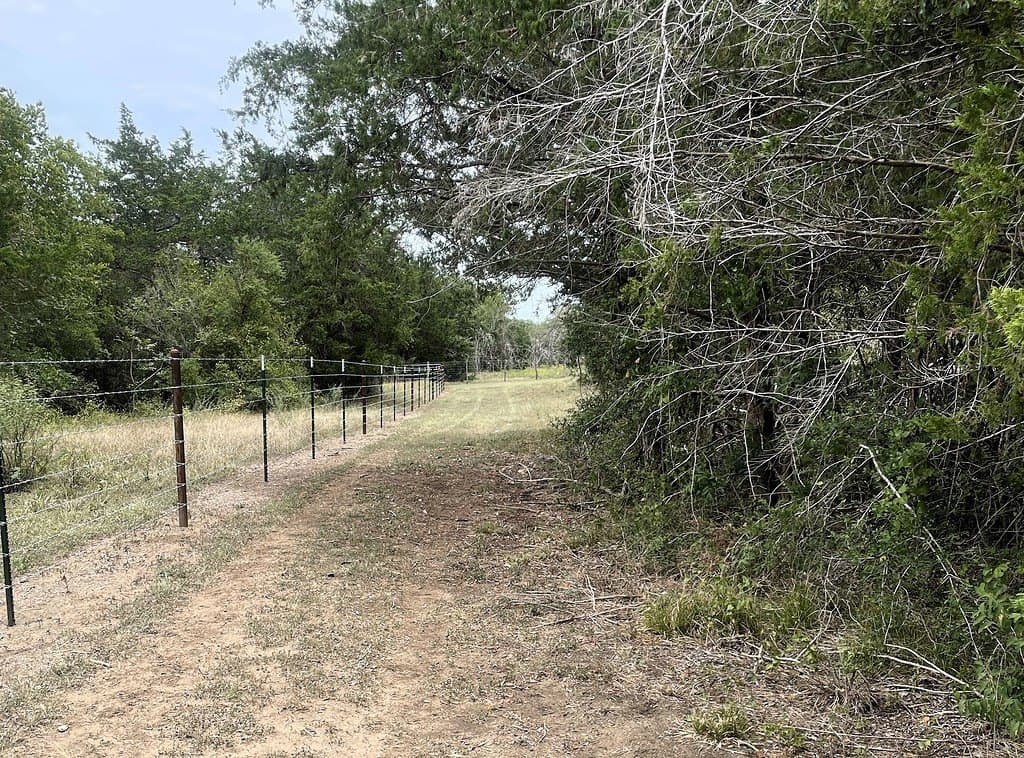 19.05 acres in Lavaca County - photo 24