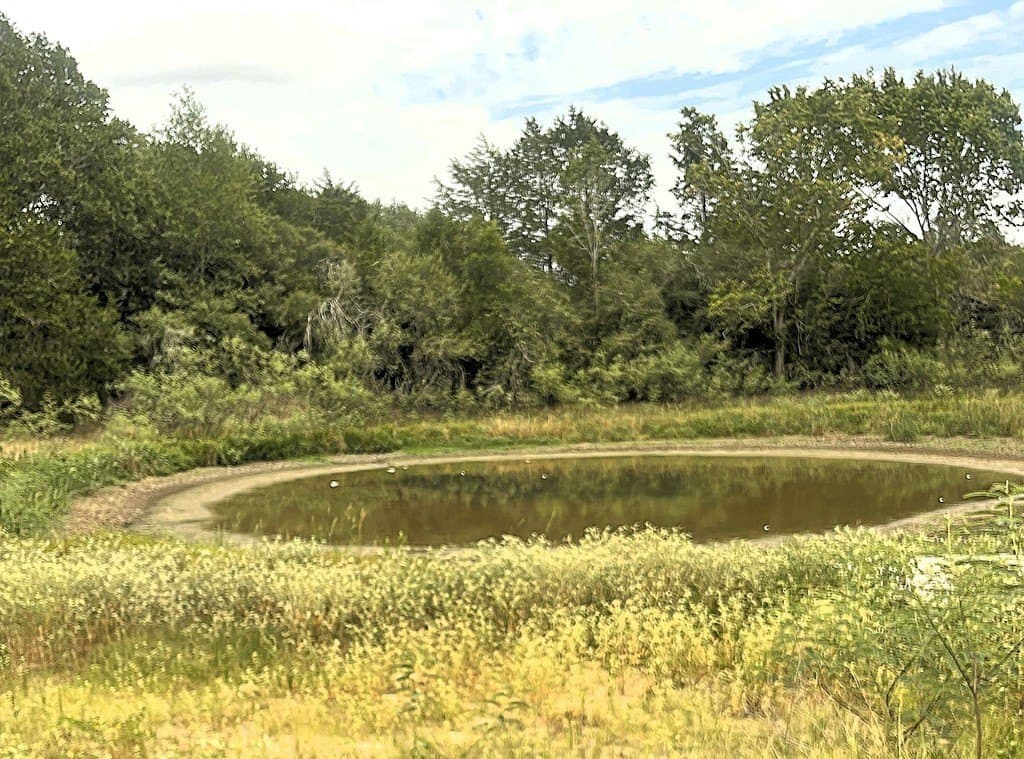 19.05 acres in Lavaca County - photo 19
