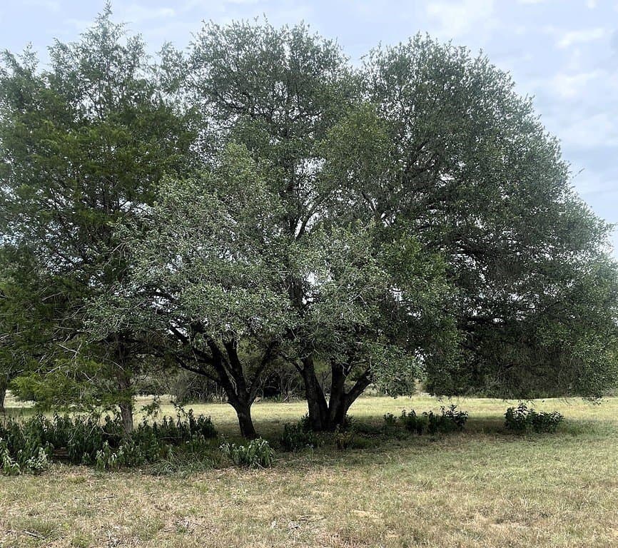19.05 acres in Lavaca County - photo 22