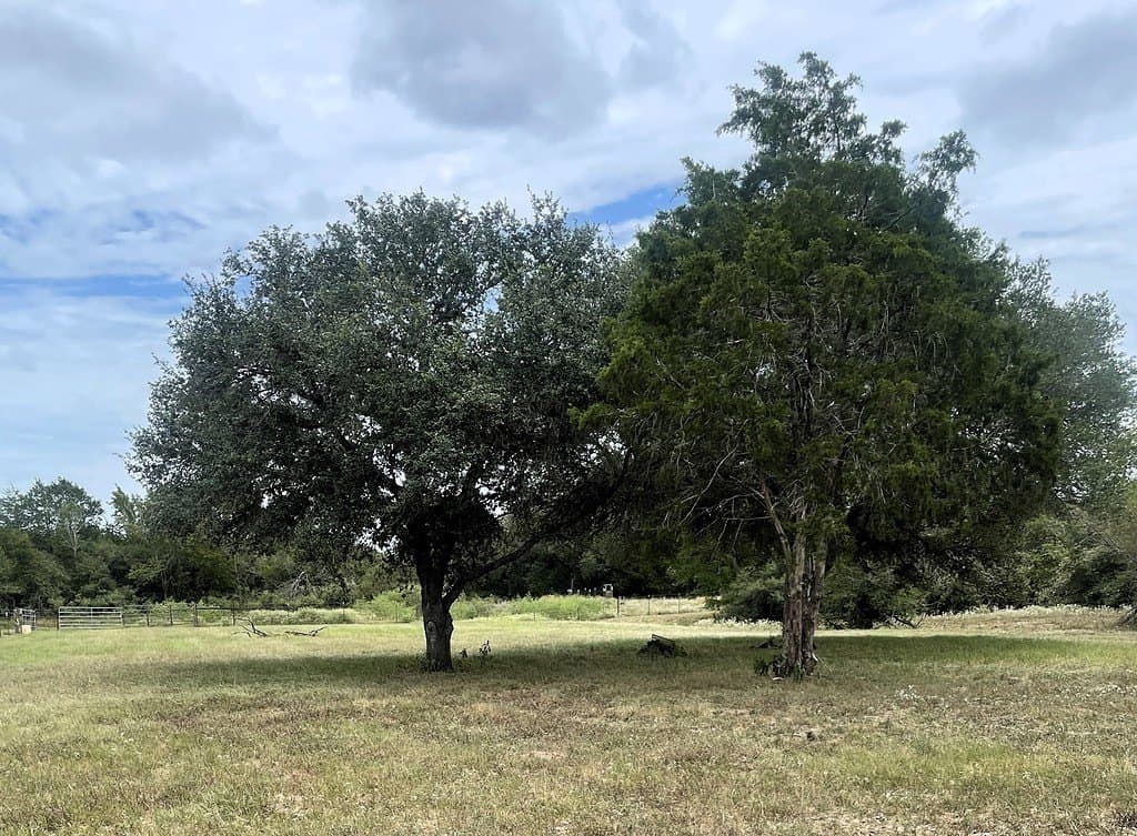 19.05 acres in Lavaca County - photo 21