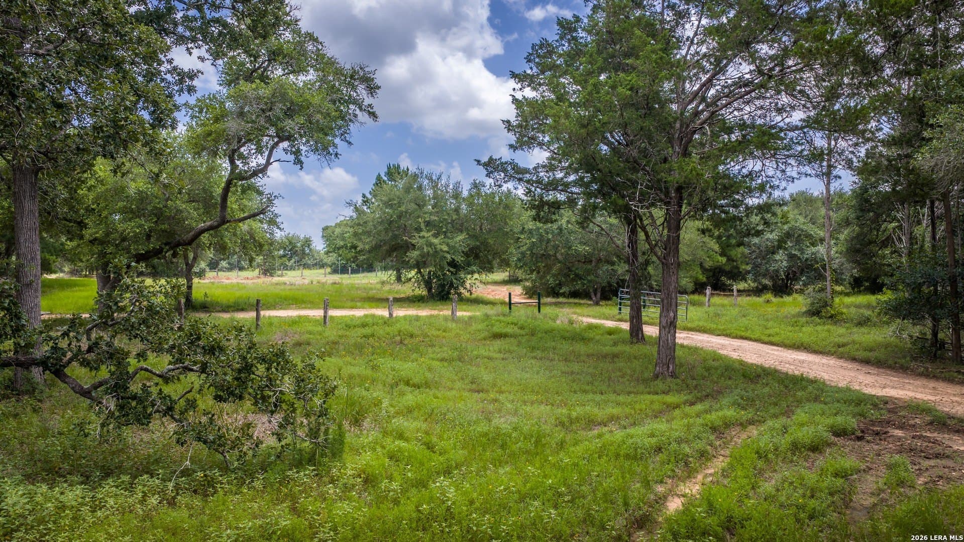 11 acres in Colorado County - photo 48