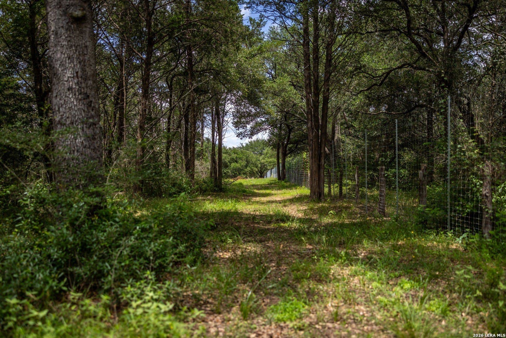 11 acres in Colorado County - photo 13