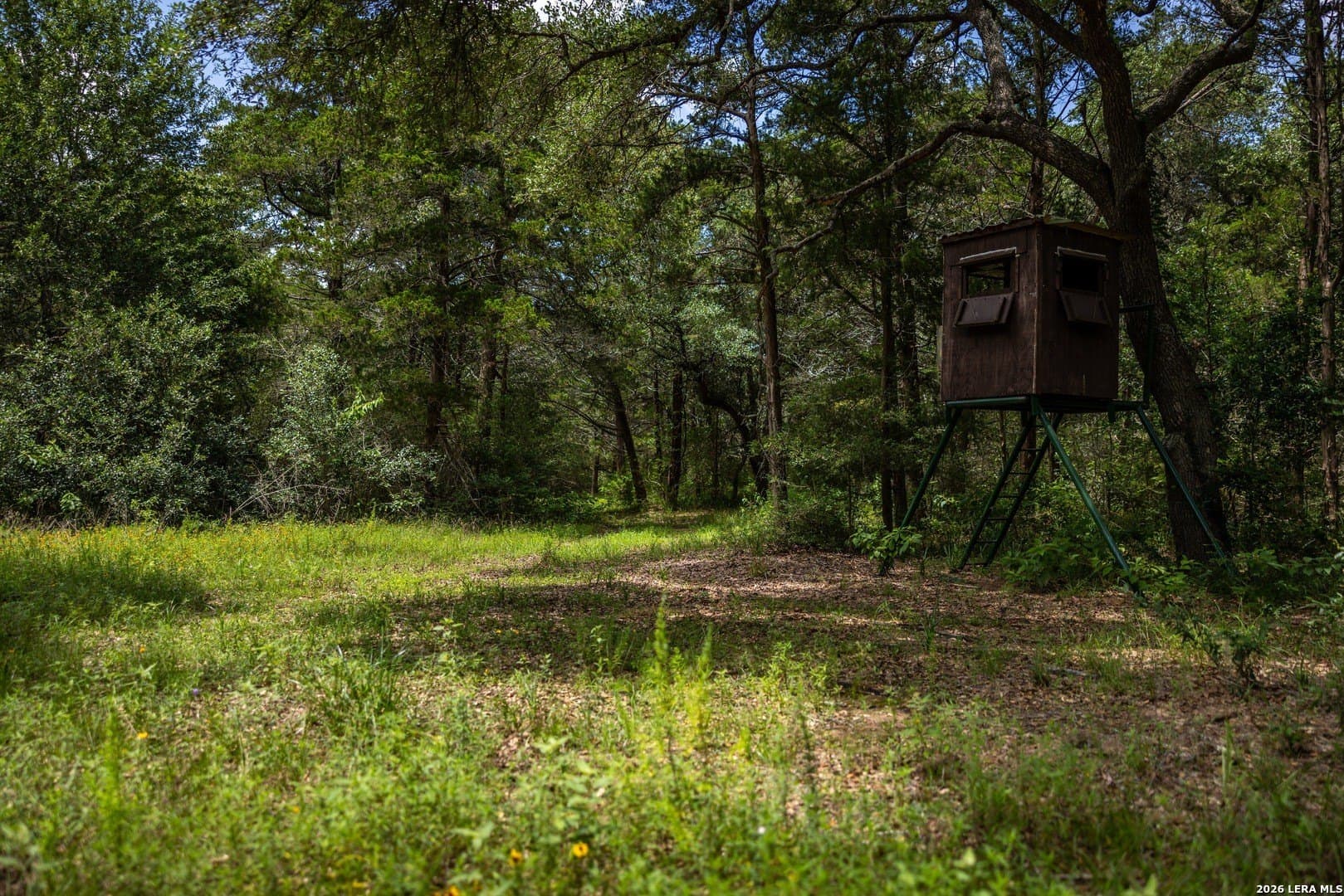 11 acres in Colorado County - photo 12